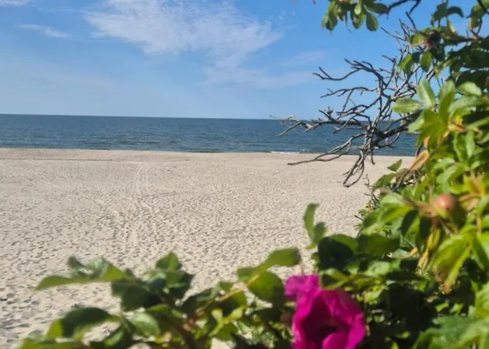 Dobisowka Przebrno * Krynica Morska